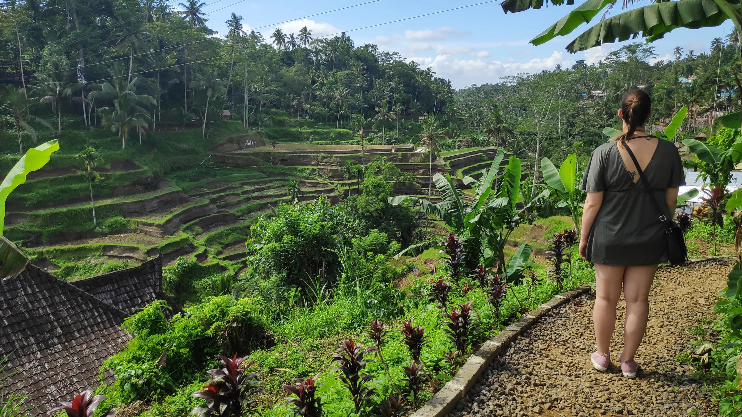 Tegallalang rice terraces in Ubud, Bali, Indonesia